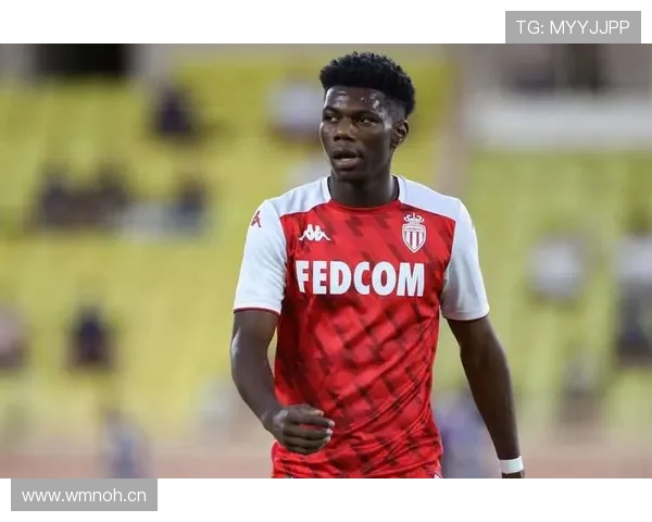 琼阿梅尼与费尔南迪尼奥：防守经验的结构性差异与传承分析