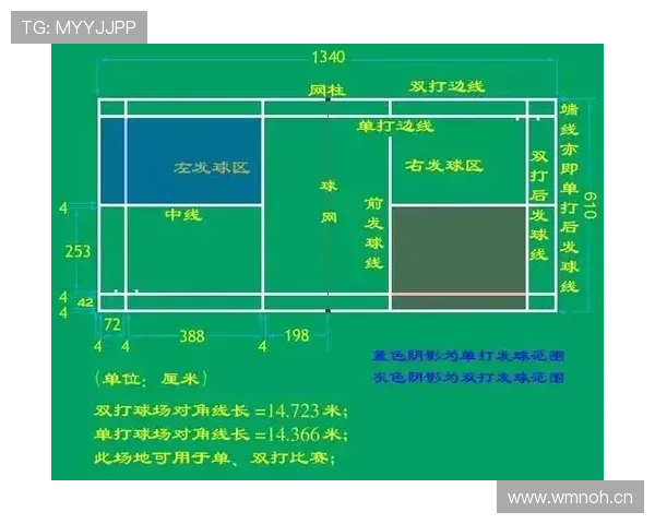 边线规则详解：球出界后如何判定归属？